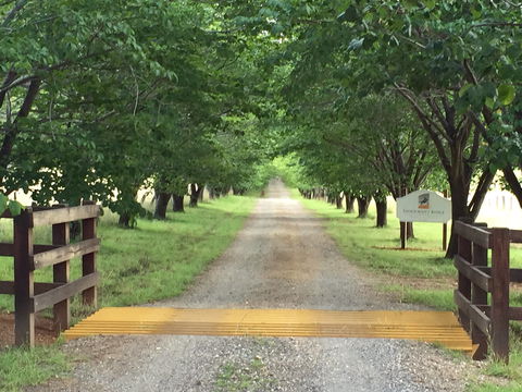 Stockmans Ridge Wines - Hervey Bay Accommodation 1