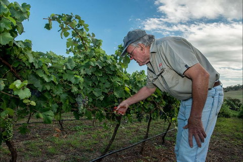 Vale Creek Wines - Hervey Bay Accommodation 2