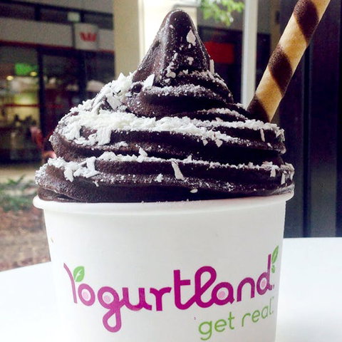 Yogurtland - Prairiewood - Tourism Hervey Bay 0