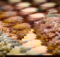 Cafe Stellina - Hervey Bay Accommodation