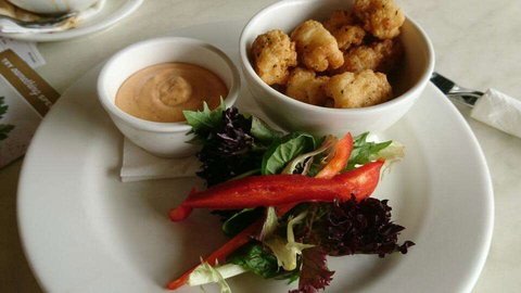 Dome - Subiaco - Tourism Hervey Bay 0