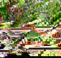 Jaques Coffee Plantation - Tourism Hervey Bay