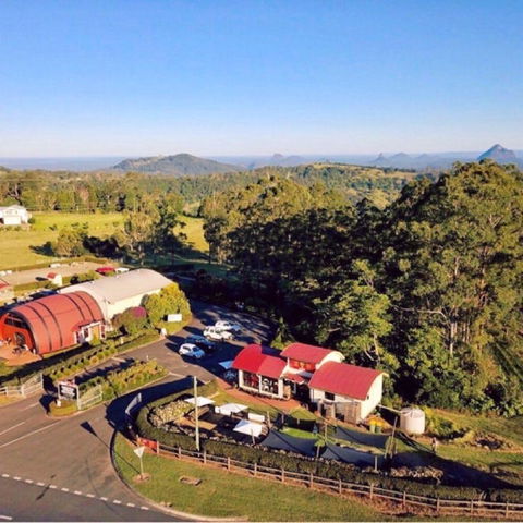 Live Foods Cafe - Tourism Hervey Bay 0