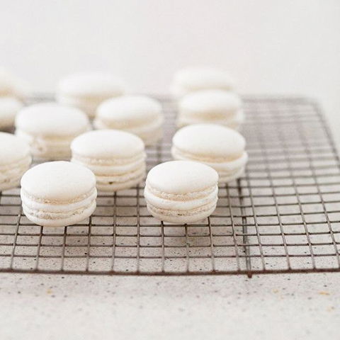 Maurice - Hervey Bay Accommodation 0