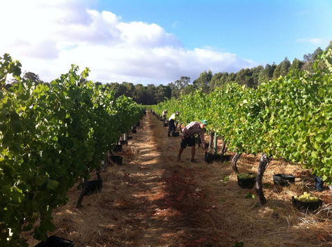 Ashbrook Estate - Hervey Bay Accommodation 1