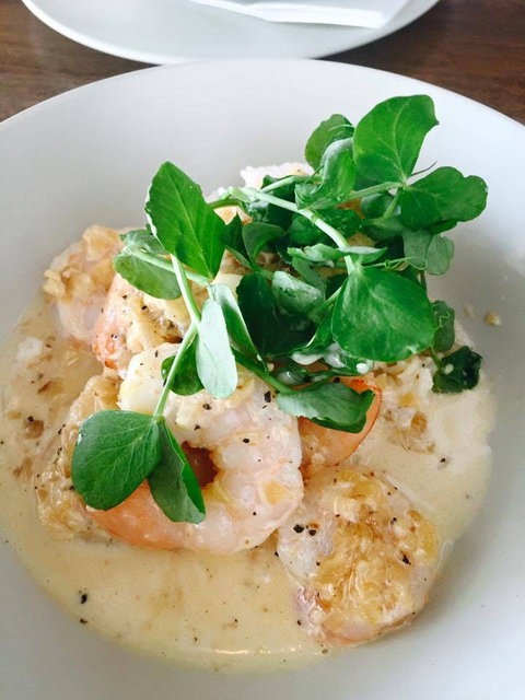 Forage Food Store - Hervey Bay Accommodation 0