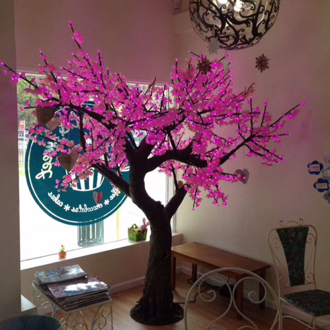 Keep It Short And Sweet - Tourism Hervey Bay 0