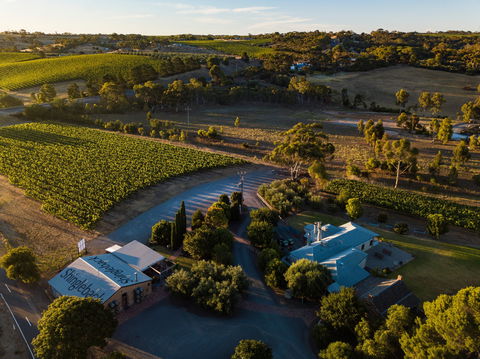 Shingleback Wine - Hervey Bay Accommodation 0
