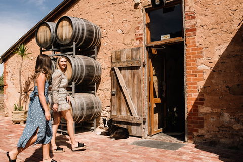 Shingleback Wine - Hervey Bay Accommodation 1