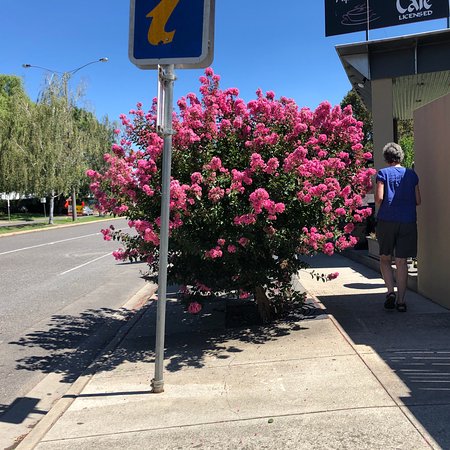 Alpine Gate Cafe - Hervey Bay Accommodation 0