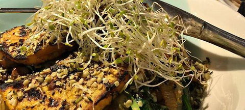 Migaloo's Cafe - Hervey Bay Accommodation 7