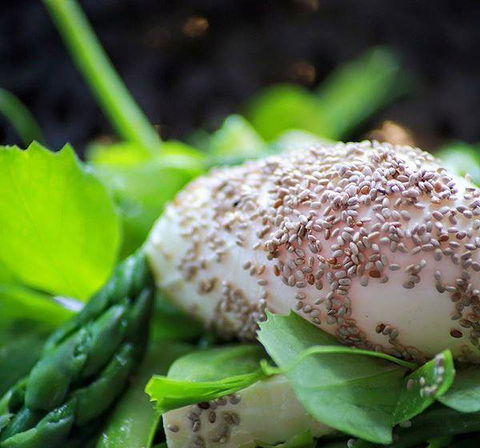 Australian Youth Hotel - Hervey Bay Accommodation 5