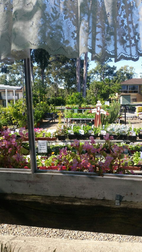 Florrey Bel Coffee Shed - Hervey Bay Accommodation 5