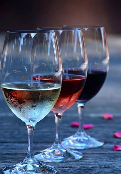 Vines Restaurant At Hollydene Estate - Hervey Bay Accommodation 8