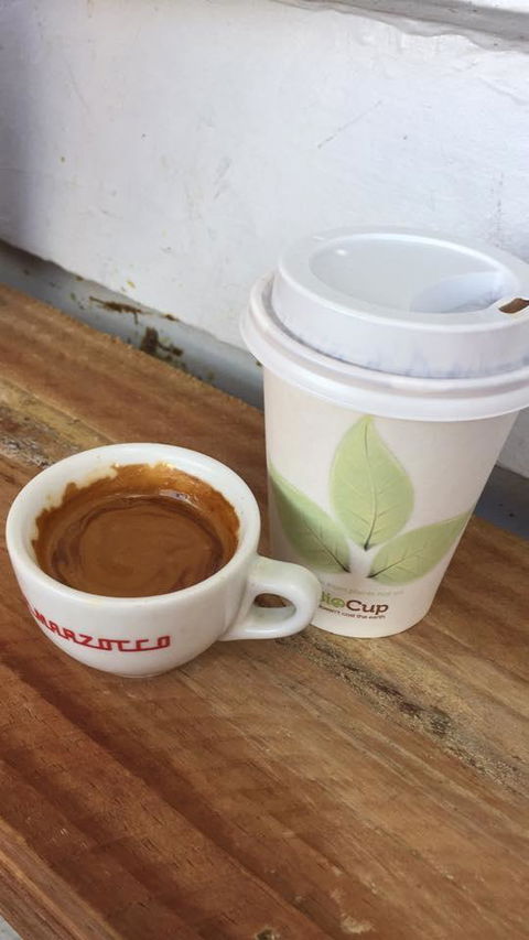 Silky Oak Espresso - Tourism Hervey Bay 5