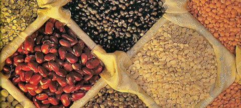 Namaste Indian Cuisine Young - Hervey Bay Accommodation 1