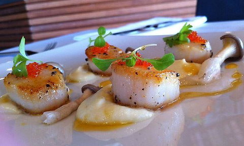 Tea Gardens Boatshed - Tourism Hervey Bay 2