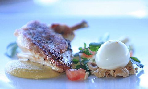 Tea Gardens Boatshed - Tourism Hervey Bay 3