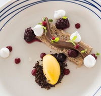 Wild Herring - Tourism Hervey Bay