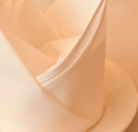 Touch of North India - Tourism Hervey Bay