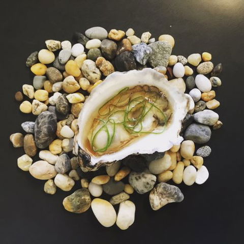 Abicus Restaurant - Hervey Bay Accommodation 2