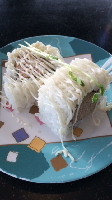 Sushi Raft - Hervey Bay Accommodation 3