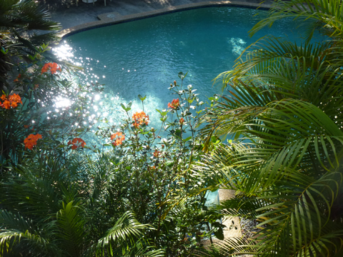 Avoca Beach Hotel - Hervey Bay Accommodation 0