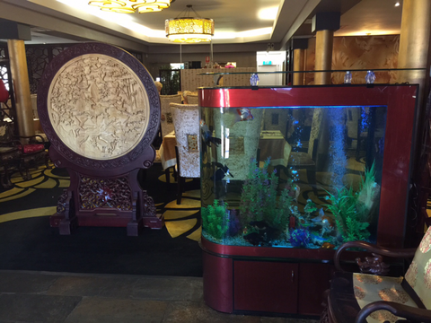 Dragon Palace - Tourism Hervey Bay 4