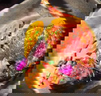 The Petit Snail - Tourism Hervey Bay