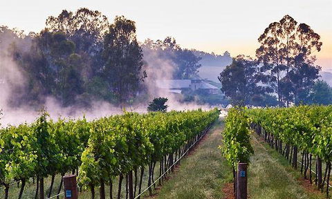 Millbrook Winery Restaurant - Tourism Hervey Bay 1