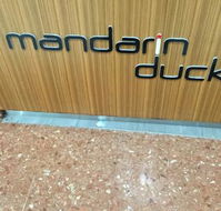 Mandarin Duck - Hervey Bay Accommodation