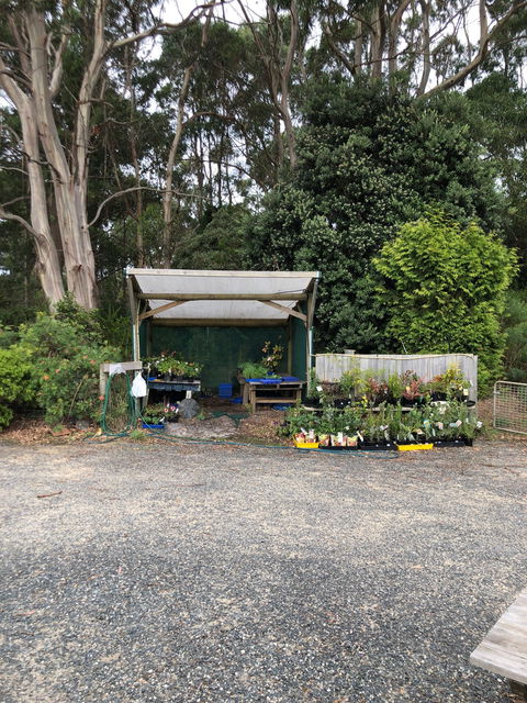 Cafe Brewer - Tourism Hervey Bay 8