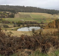 Fat Pig Farm - Tourism Hervey Bay