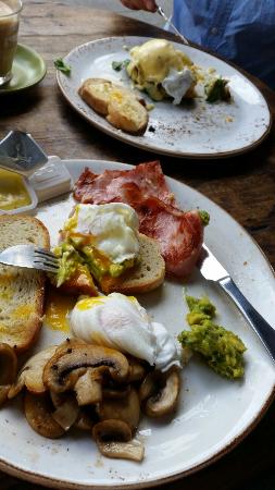 Il Cibo - Hervey Bay Accommodation 0