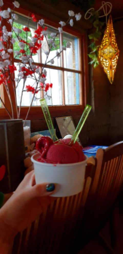 Kates Berry Farm - Hervey Bay Accommodation 1