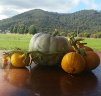 Mount Gnomon Farm - Hervey Bay Accommodation