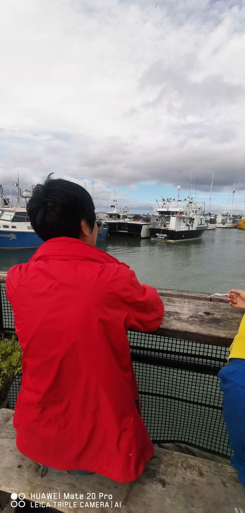 Skippers Floating Eatery - Hervey Bay Accommodation 6