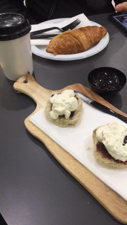 Wilderness Espresso - Tourism Hervey Bay 0