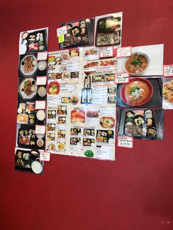 Shou Japanese Kichen - Hervey Bay Accommodation 0