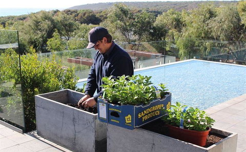 Other Side Of The Moon Restaurant - Hervey Bay Accommodation 5