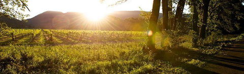Sam Miranda King Valley - Hervey Bay Accommodation 4
