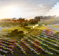 Sandalford Restaurant - Tourism Hervey Bay