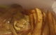 Funky Mexican Catina - thumb 6