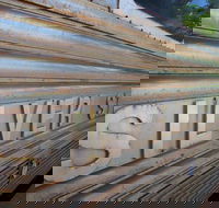 Silver Star Cafe - Hervey Bay Accommodation