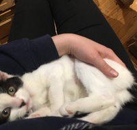 MeowMe Cafe - Hervey Bay Accommodation