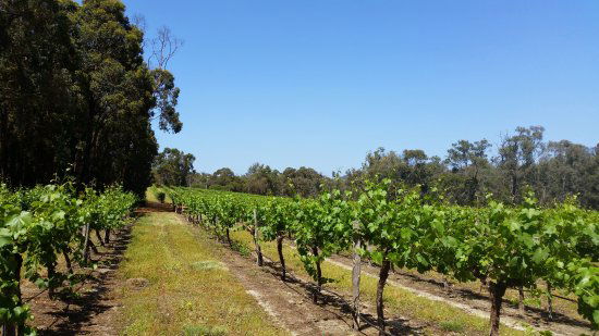 Lower Chittering WA Tourism Hervey Bay