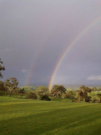 One Tree Hill SA Tourism Hervey Bay