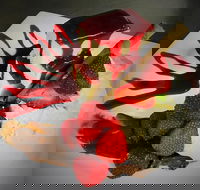 Clare Castle Hotel Restaurant - Tourism Hervey Bay