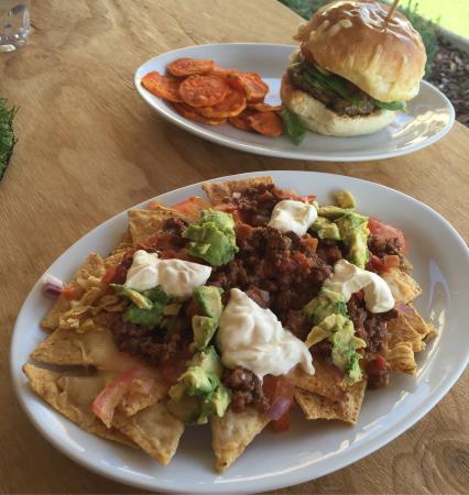 Alive And Well - Hervey Bay Accommodation 0