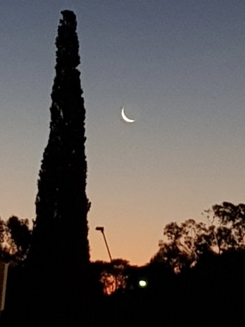 Barmera Bakery - Hervey Bay Accommodation 7